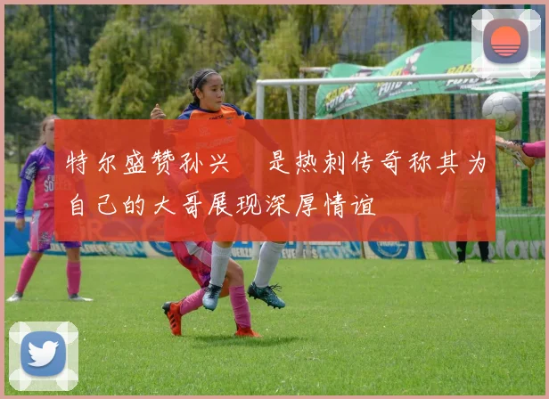 特尔盛赞孙兴慜是热刺传奇称其为自己的大哥展现深厚情谊