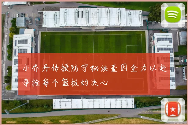 小乔丹传授防守秘诀奎因全力以赴争抢每个篮板的决心