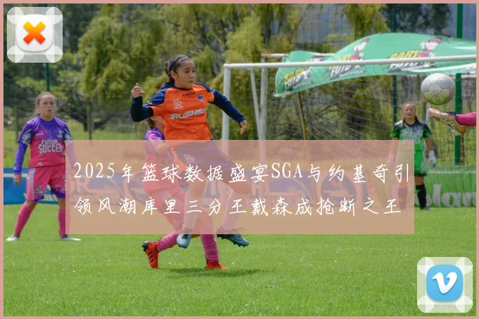 2025年篮球数据盛宴SGA与约基奇引领风潮库里三分王戴森成抢断之王