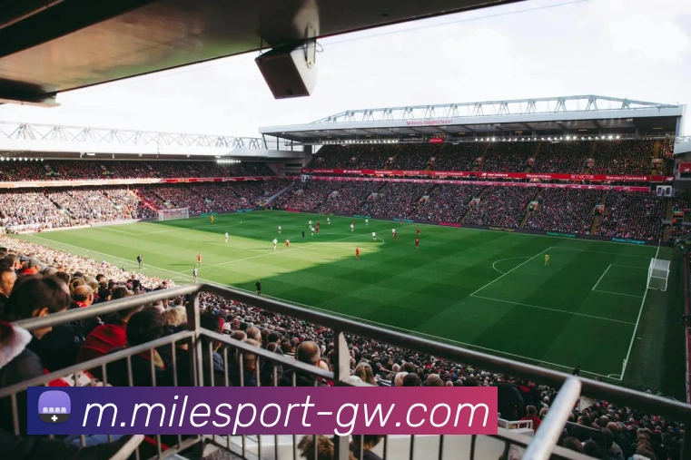 米乐体育品牌故事