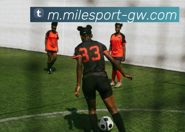 米乐体育服务体系